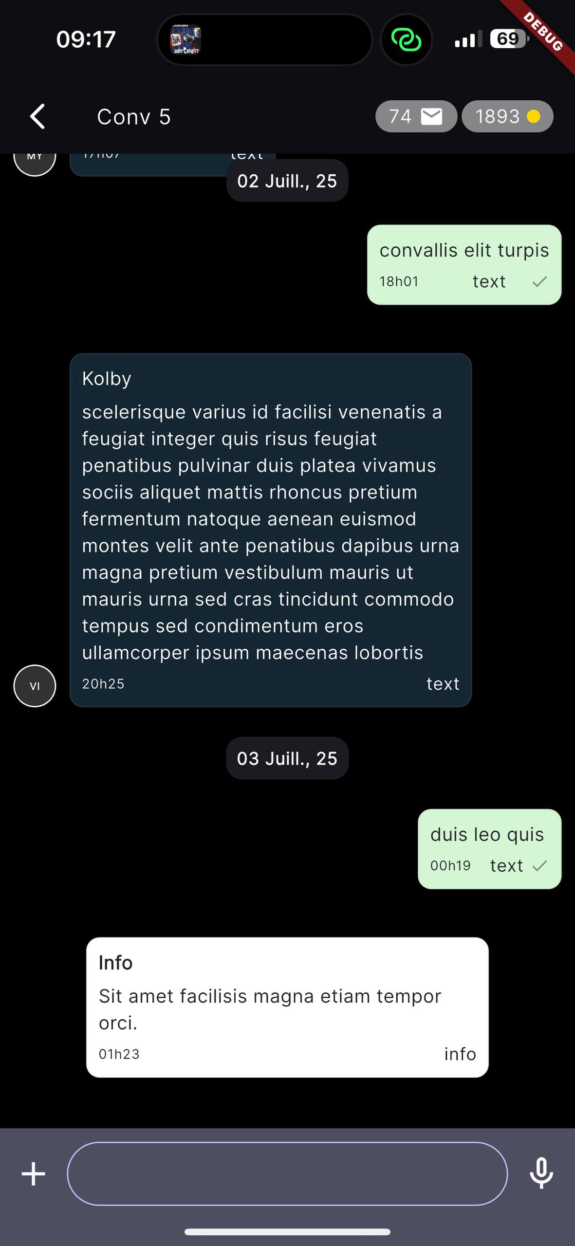 Vipuick chat interface