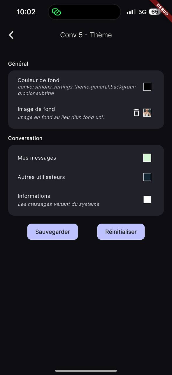 Vipuick conversation theme settings